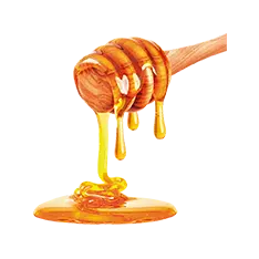 Pčelarska oprema